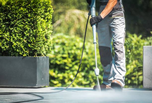 Best Pre-Holiday Cleaning  in Watsessing, NJ